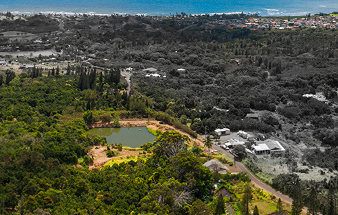 Waiehu Properties