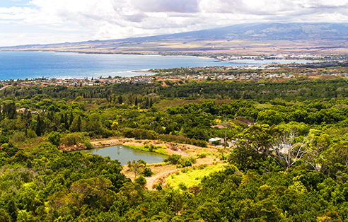 Waiehu Properties