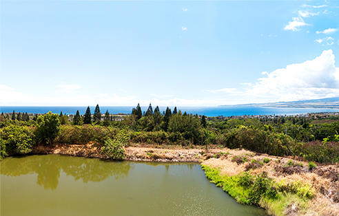 Waiehu Properties