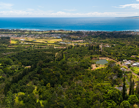 Waiehu Properties
