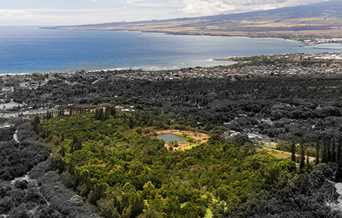 Waiehu Properties
